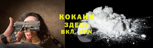 прущие грибы Бугульма