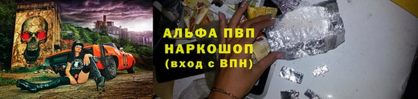прущие грибы Бугульма