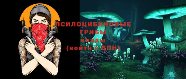 прущие грибы Бугульма